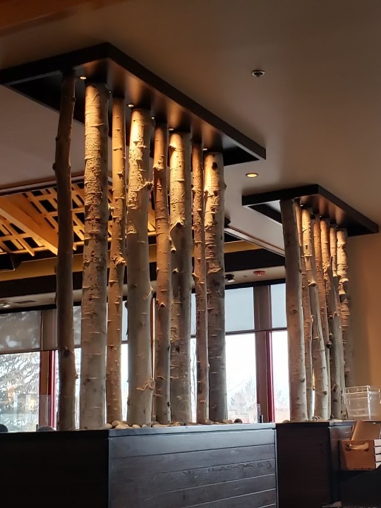 decorative aspen pole partition, lit